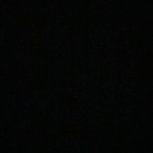 Meet your Posher, Jennis